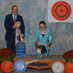 2024 Best of the Best GCHG CH BCR All That Glitters Is Not Gold JUDGE: Nicolas De Bedout Sknar Owned by H Maxwell & S O'Connell 2024 Best of the Best GCHG CH BCR All That Glitters Is Not Gold JUDGE: Nicolas De Bedout Sknar Owned by H Maxwell & S O'Connell